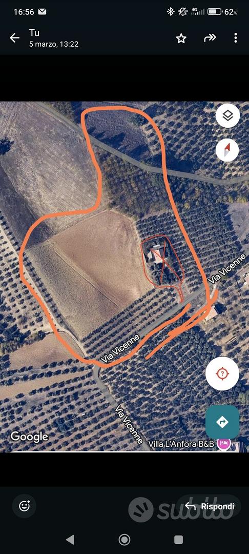 terreno con uliveto - Vista 5