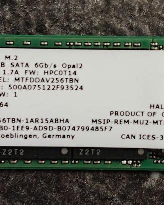 Micron SSD 256GB 1100 M.2 2280