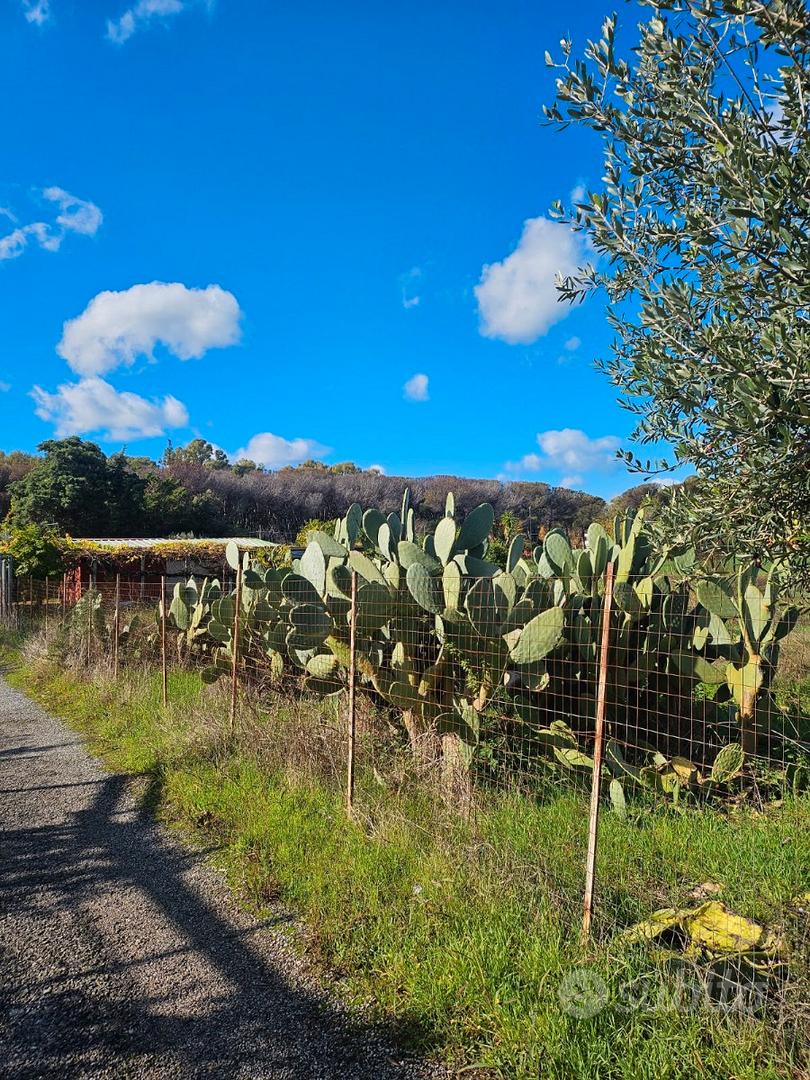 Terreno agricolo - Altro