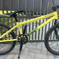 BMX specialized