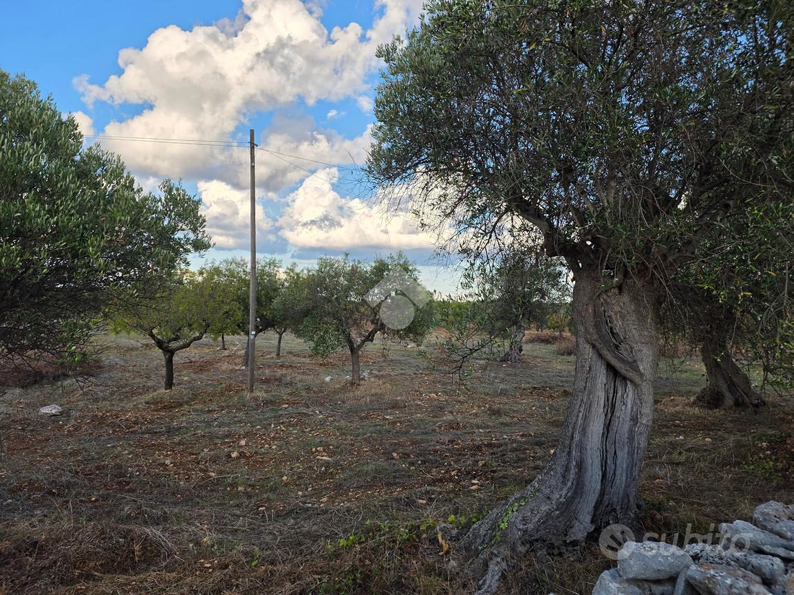 TER. AGRICOLO A CONVERSANO - Vista 3