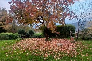 Borgo S Lorenzo - CASALE MQ 90 TERRENO MQ 4000