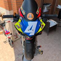 Minimoto dm 2024