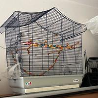 Gabbia per canarini