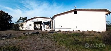 RGE 297/2024 Trib Pavia