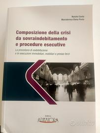 Composizione della crisi da sovraindebitamento
