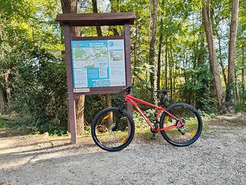Cannondale Trail 5