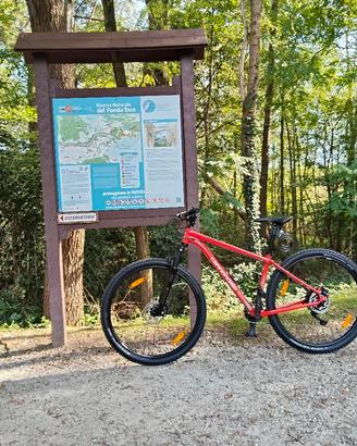 Cannondale Trail 5