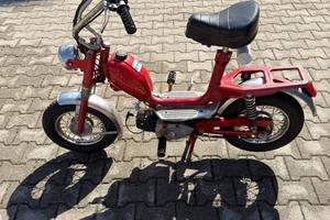 Giulietta Peripoli 50
