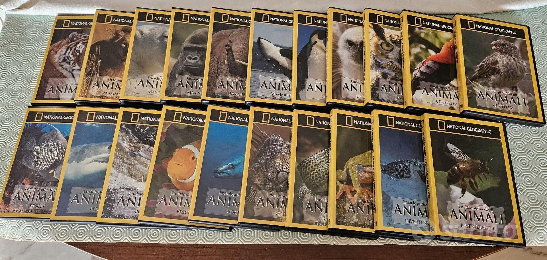 National Geographic - Enciclopedia animali 21 dvd - Musica e Film In ...