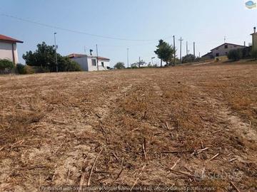 423 Terreno edificabile Atri