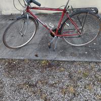 bicicletta da passeggio 
