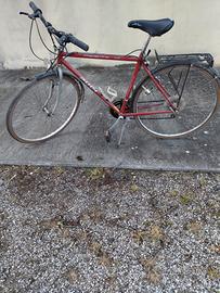 bicicletta da passeggio 