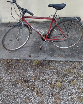 bicicletta da passeggio 
