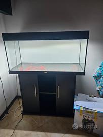 Acquario 180 Juwel + Accessori
