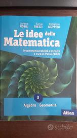 LE IDEE DELLA MATEMATICA    ISBN 9788826821757
