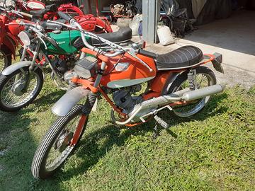 Morini Corsarino  Scrambler 50
