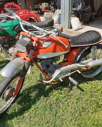 Morini Corsarino  Scrambler 50