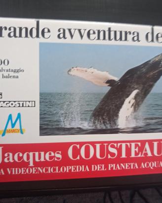 VHS - Jacques Cousteau - La grande avventura del 
