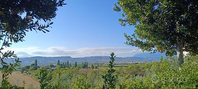 Terreno di circa 8 ettari agricoli irrigui