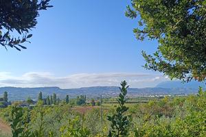 Terreno di circa 8 ettari agricoli irrigui