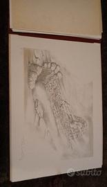 Titus Vossberg litografie