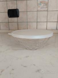 Contenitore Tupperware con coperchio 