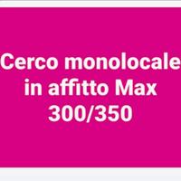 C.e.r.c.o monolocale