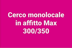 C.e.r.c.o monolocale