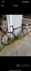bici da strada Olmo