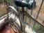 Immagine 2