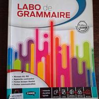 Libro Grammatica Francese