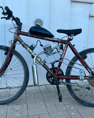Bici a motore 50cc