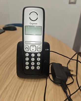 telefoni cordless, portatili e fissi da centralino