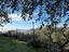 Immagine 17