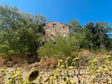 2 casali collabenti + 7 ettari terreno Montelparo