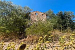 2 casali collabenti + 7 ettari terreno Montelparo