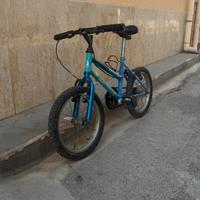 Bicicletta shadow MTB