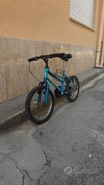 Bicicletta shadow MTB