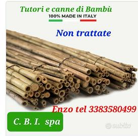 Canne di Bamboo italiane tutori
