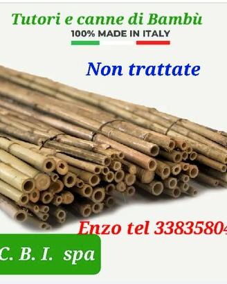 Canne di Bamboo italiane tutori