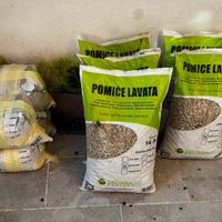 Pomice lavata bonsai geosism