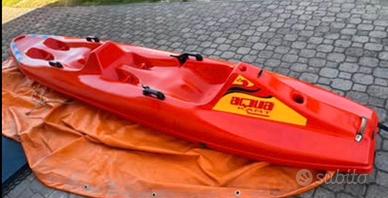 Bel mezzo acquatico  2 posti  3,9M motorzzabile