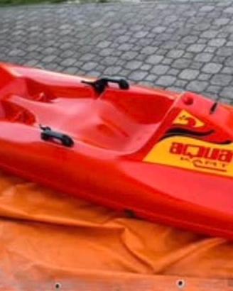 Bel mezzo acquatico  2 posti  3,9M motorzzabile