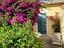 Immagine 16