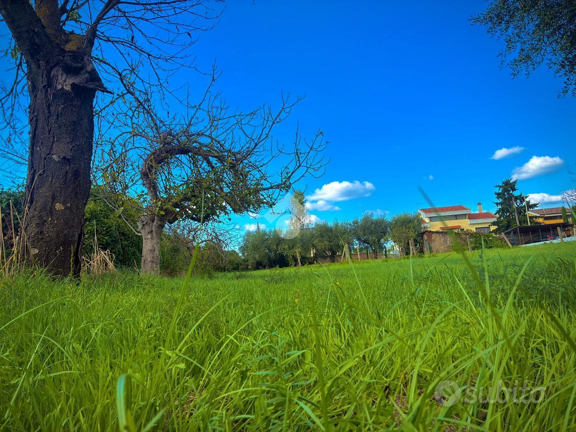 TER. RESIDENZIALE A ALBANO LAZIALE - Vista 2