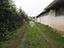 Immagine 19