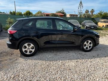 Ford Kuga 1.5 EcoBlue 120 CV aut. 2WD ST-Line X