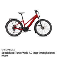 Bicicletta Ebike elettrica