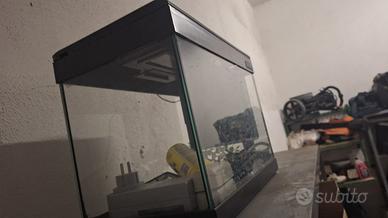 Acquario “mirage 43”